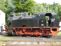 IMG_0058 (Medium)